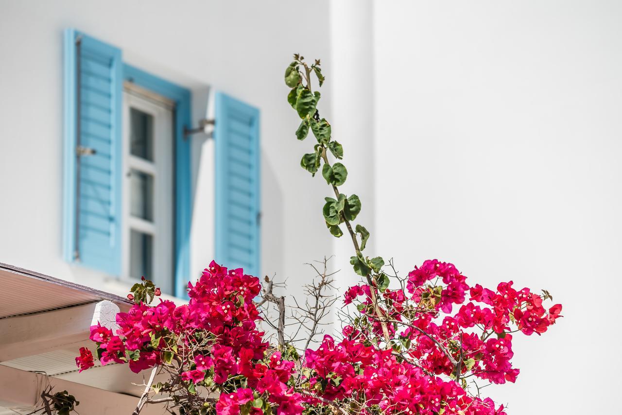 Capo Di Mykonos Resort Agios Ioannis Diakoftis ภายนอก รูปภาพ