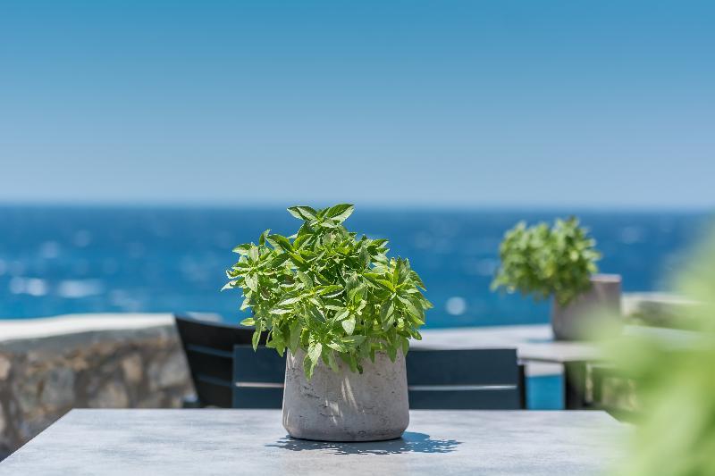 Capo Di Mykonos Resort Agios Ioannis Diakoftis ภายนอก รูปภาพ